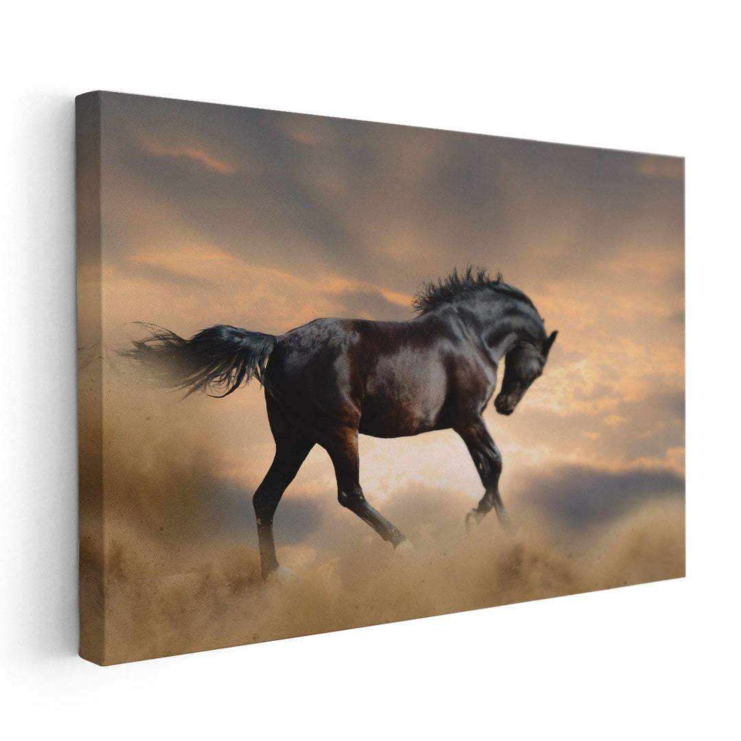 Black Stallion Horse - Canvas Print Wall Art