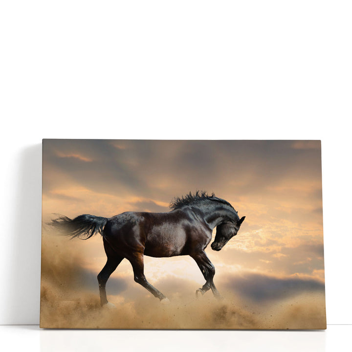 Black Stallion Horse - Canvas Print Wall Art