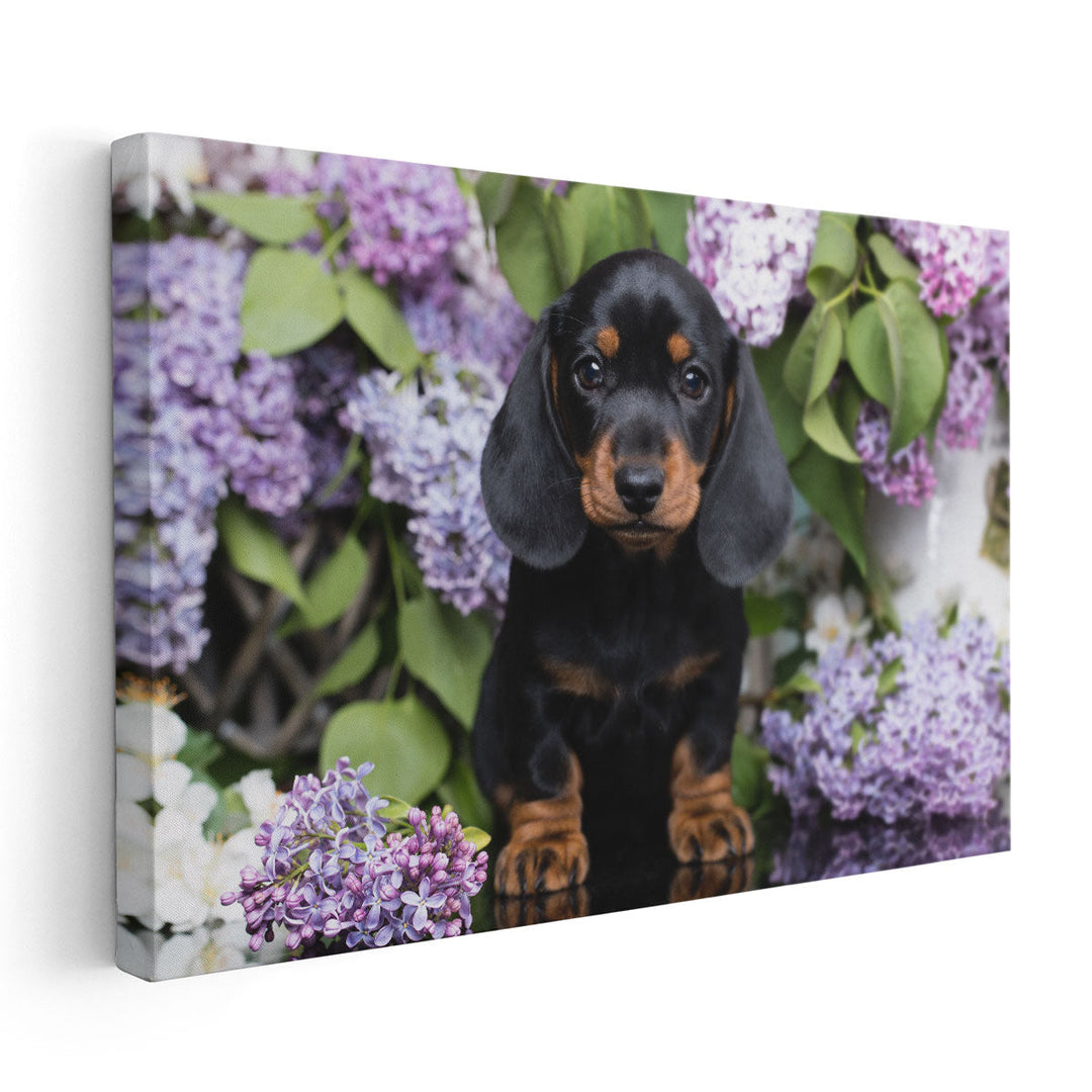 Dachshund with Flowers - Canvas Print Wall Art