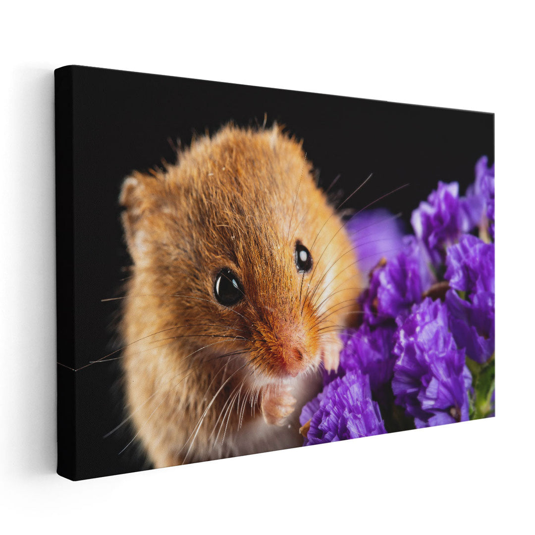 Harvest Mice On Flowers - Canvas Print Wall Art