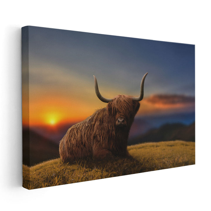 Large Highland Cow in a Meadow - Canvas Print Wall Art