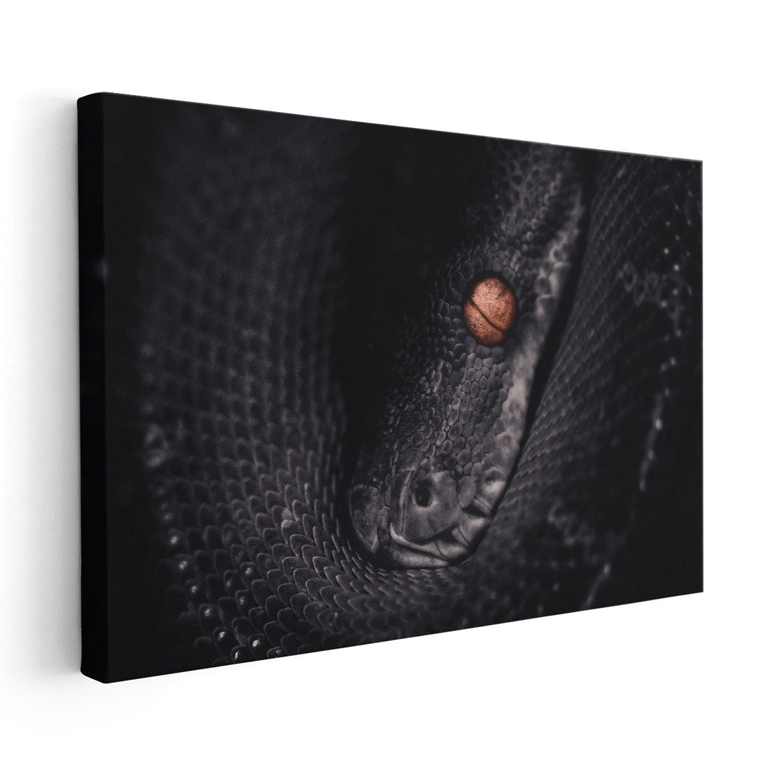 Python Snake Photography - Canvas Print Wall Art