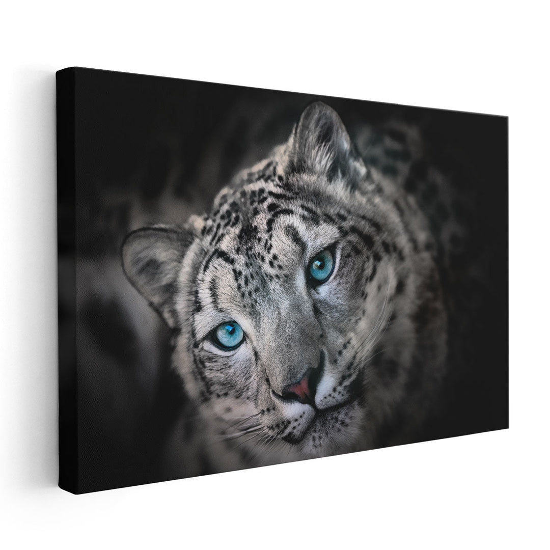 Snow leopard or Irbis Portrait - Canvas Print Wall Art