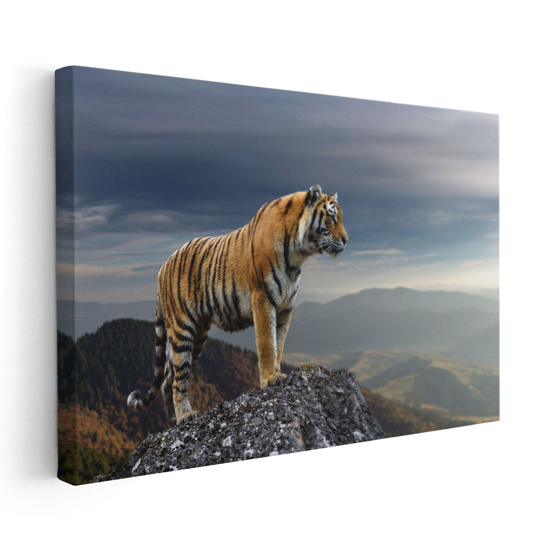 Tiger Standing On a Rock - Canvas Print Wall Art