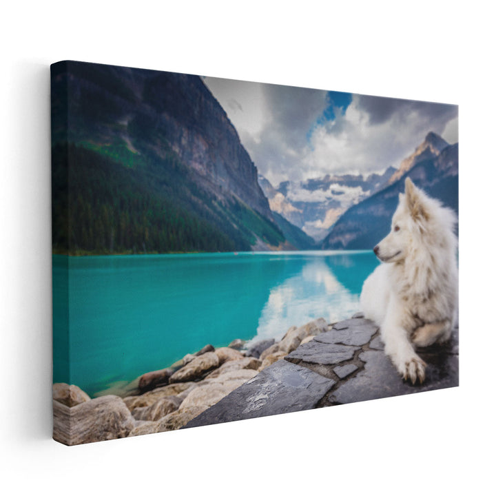 White Fox Sitting On A Lakefront Near Mountains - Canvas Print Wall Art