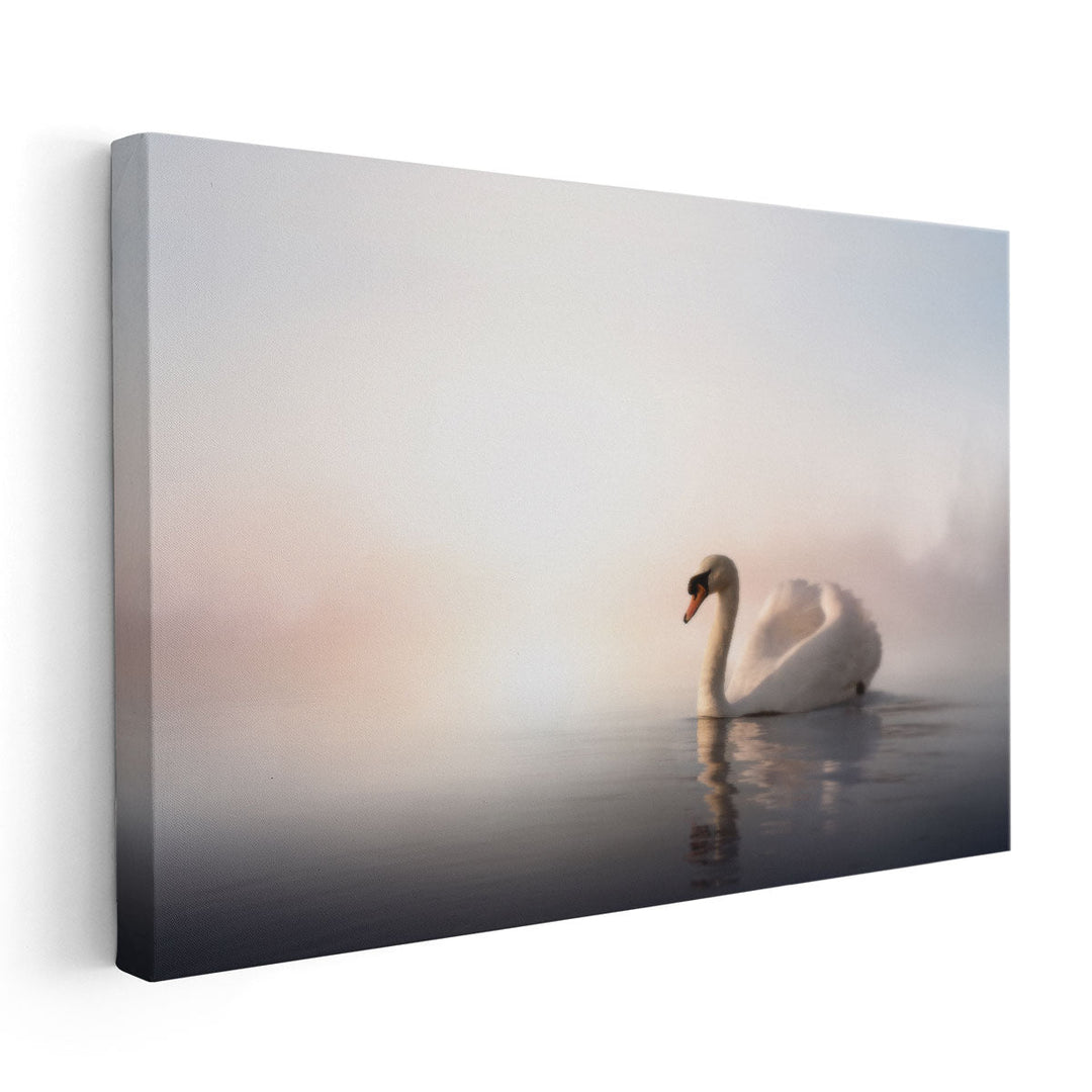 Swan Floating on the Water At Sunrise - A Minimalistic Art - Canvas Print Wall Art