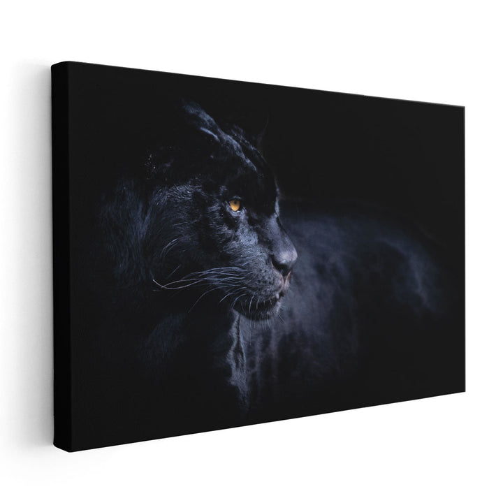 Black Panther with a Black Background - Canvas Print Wall Art