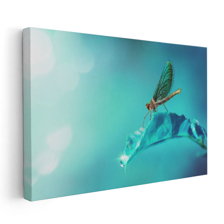 Dragonfly on Leaf With A Drop of Morning Dew - Canvas Print Wall Art