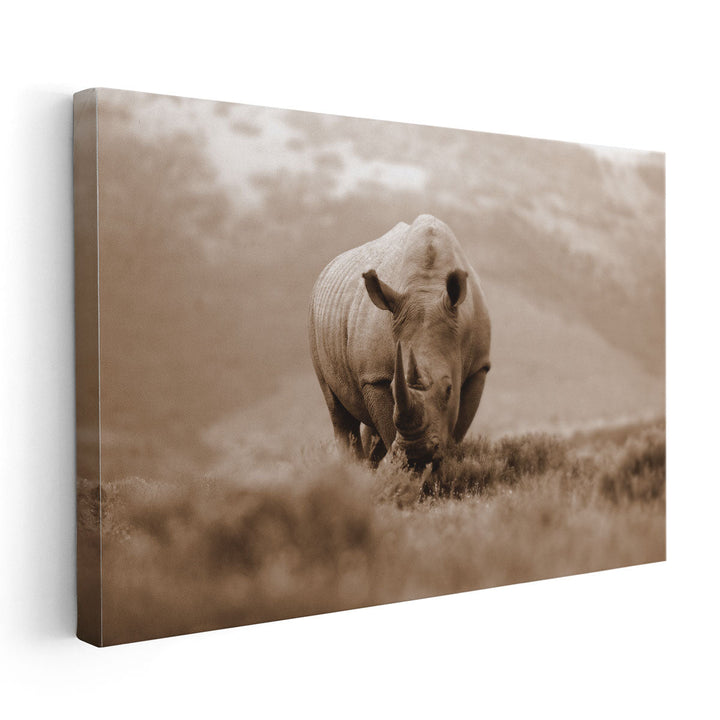 A White Rhino With Big Horns in South Africa - Canvas Print Wall Art