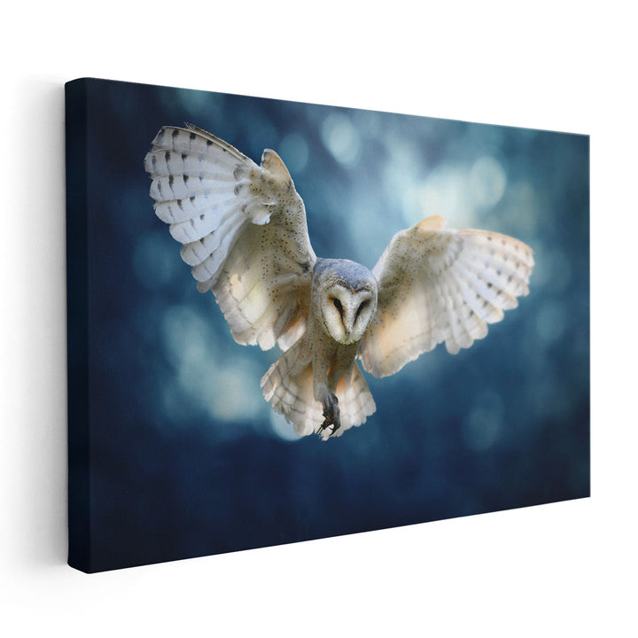 Hunting Barn Owl in Flight - A Wildlife Scene - Canvas Print Wall Art