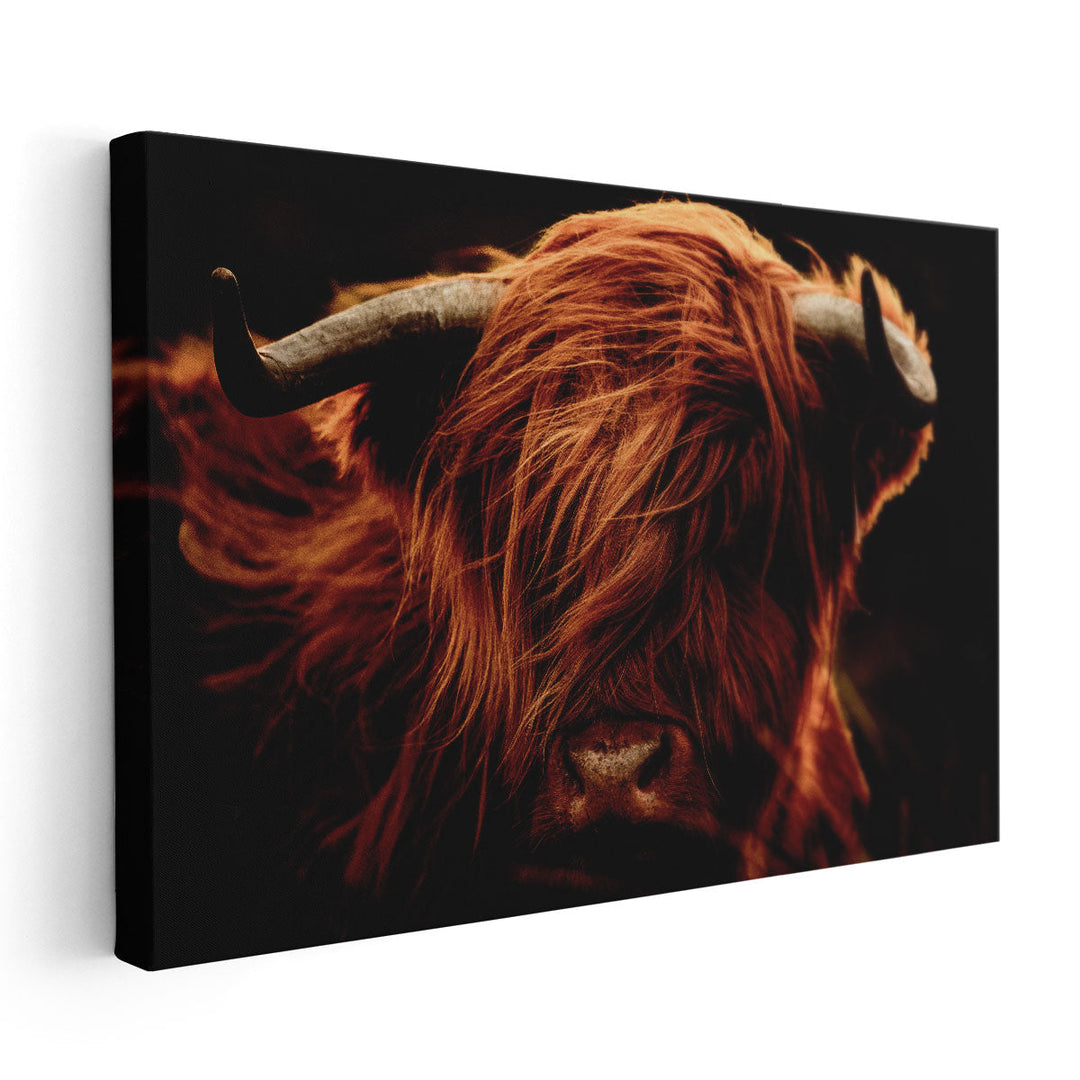 A Close-Up of Highland Cows - Canvas Print Wall Art