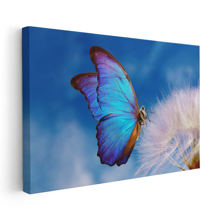 Morpho Butterfly and Dandelion Flower with Blue Sky - Canvas Print Wall Art