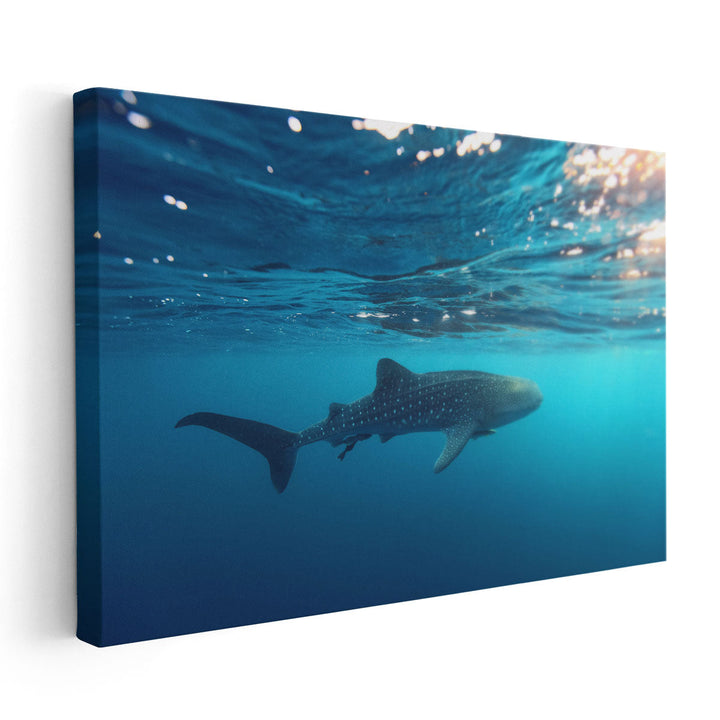 Whale Shark Swimming Near the Water Surface - Canvas Print Wall Art