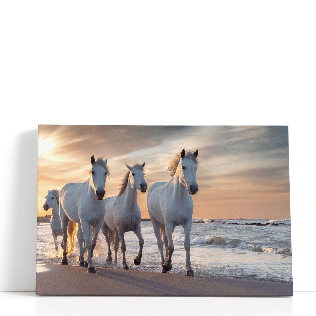 Herd of White Horses Running Through The Water - Canvas Print Wall Art