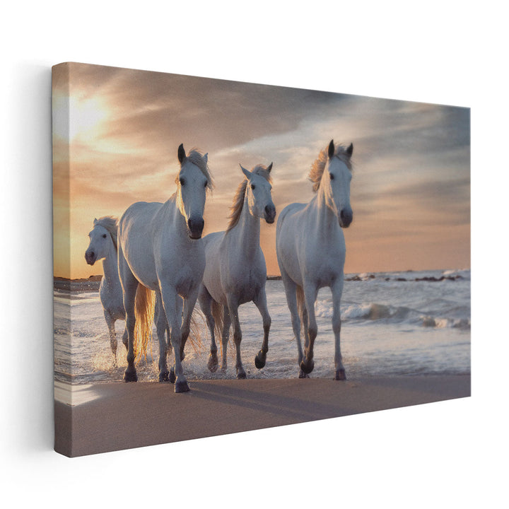 Herd of White Horses Running Through The Water - Canvas Print Wall Art