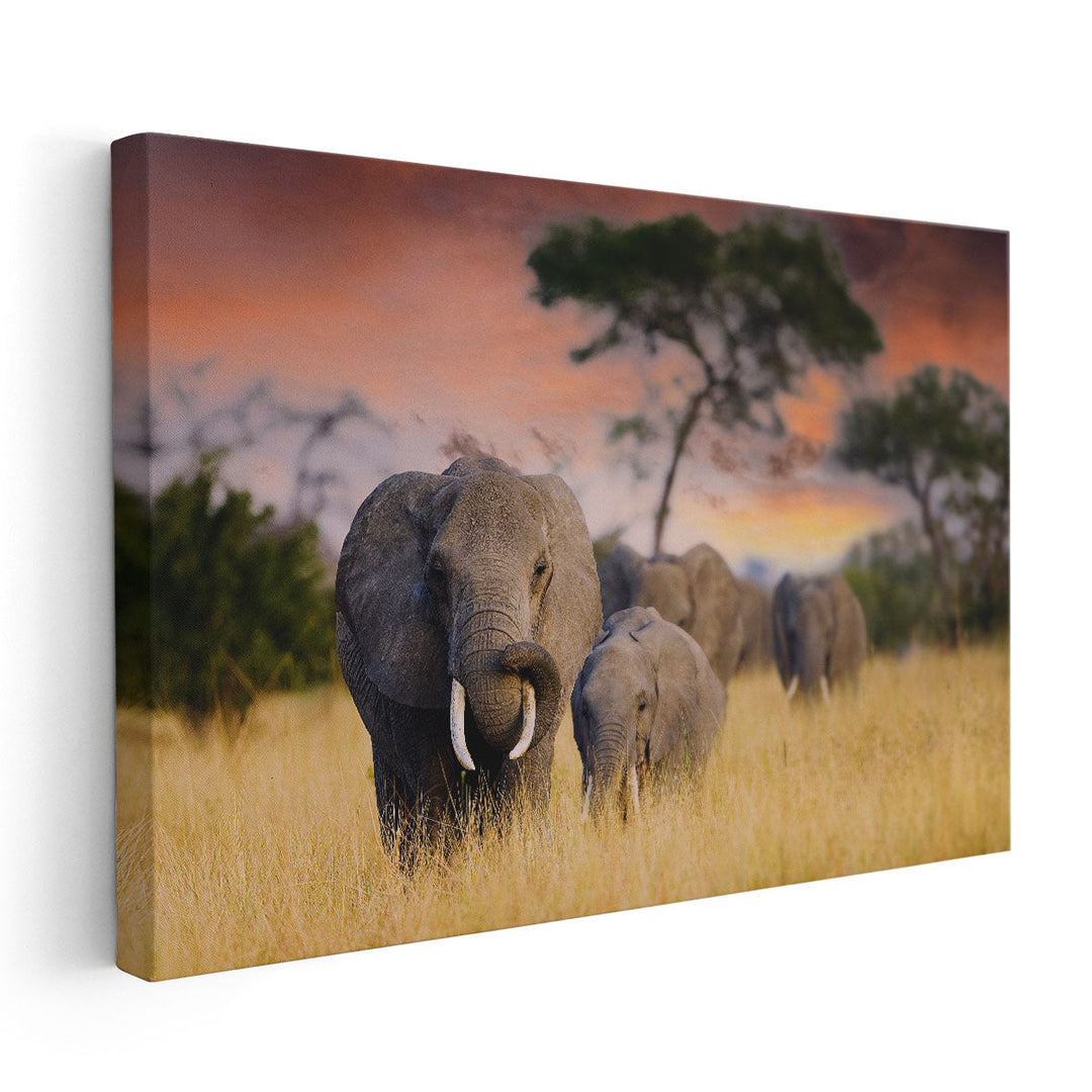 A Herd of Wild Elephants in Tarangire National Park - Canvas Print Wall Art