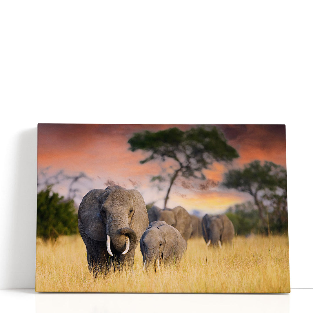 A Herd of Wild Elephants in Tarangire National Park - Canvas Print Wall Art