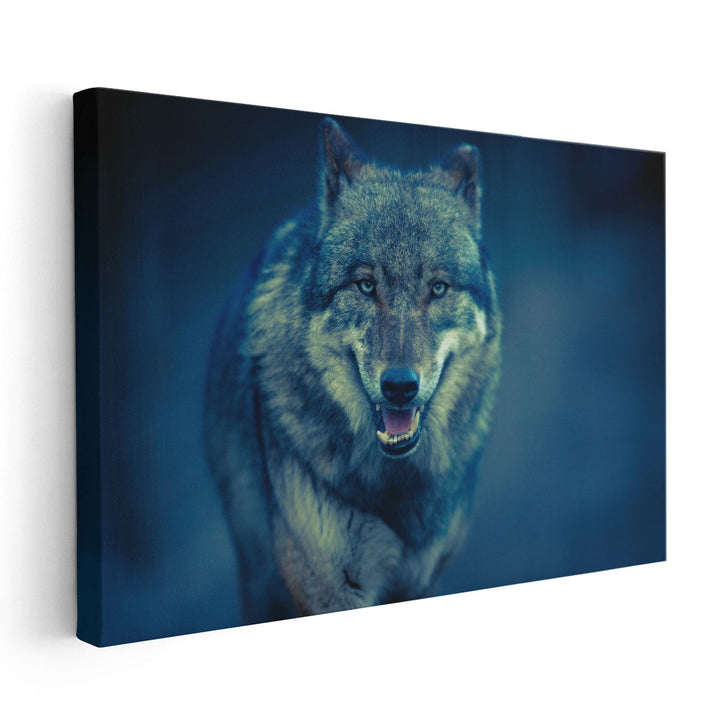 Scary Dark Gray Canis Lupus Wolf - Canvas Print Wall Art