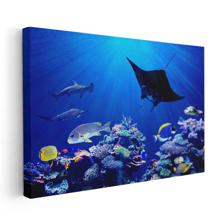 Eagle Ray and Hammerhead Sharks , Underwater Coral Reef - Canvas Print Wall Art