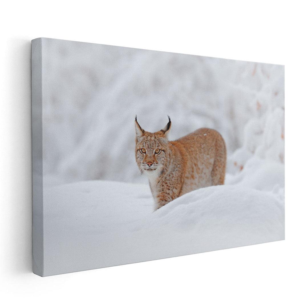 Eurasian Lynx in a Snowy Forest - Canvas Print Wall Art