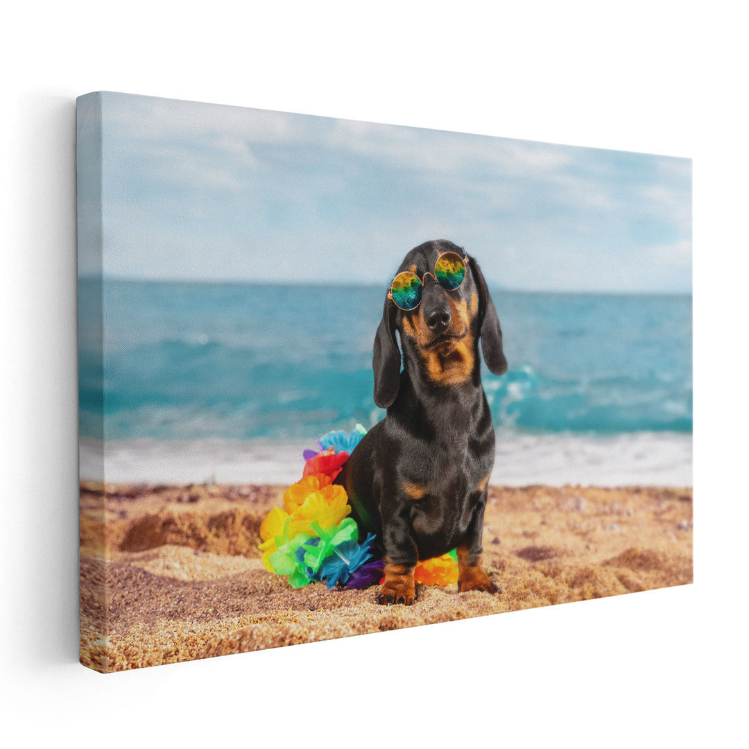 Funny Dachshund Puppy in its Style Sitting On a Beach - Canvas Print Wall Art