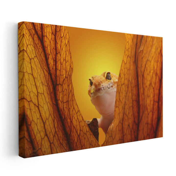 Gecko Lizard on Yellow Background - Canvas Print Wall Art