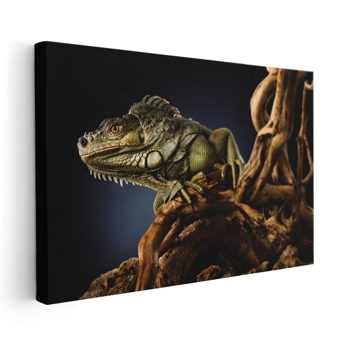 Iguana Lizard on a Tree Branch, Reptile Photography - Canvas Print Wall Art