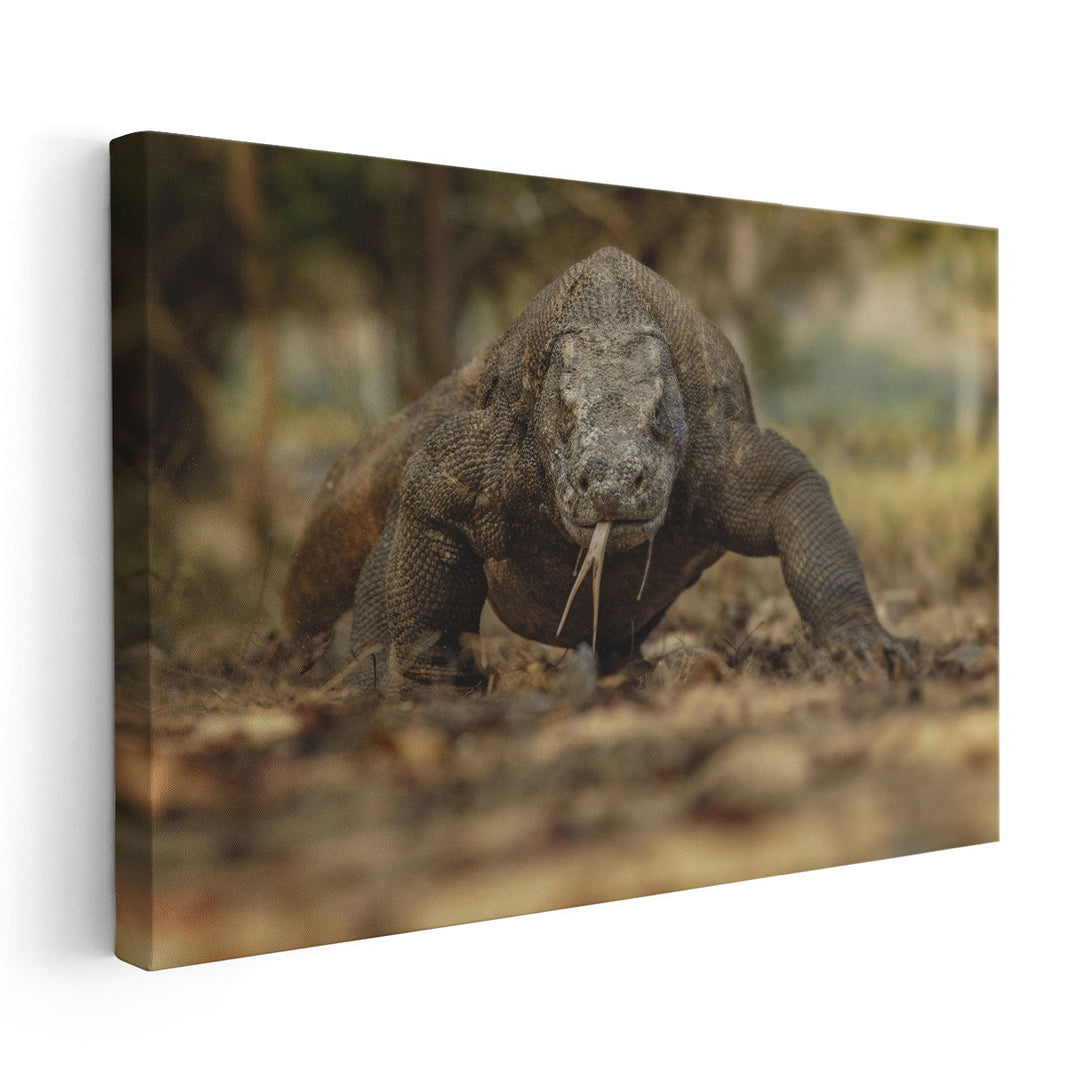 Komodo Dragon in the Beautiful Nature Habitat - Canvas Print Wall Art