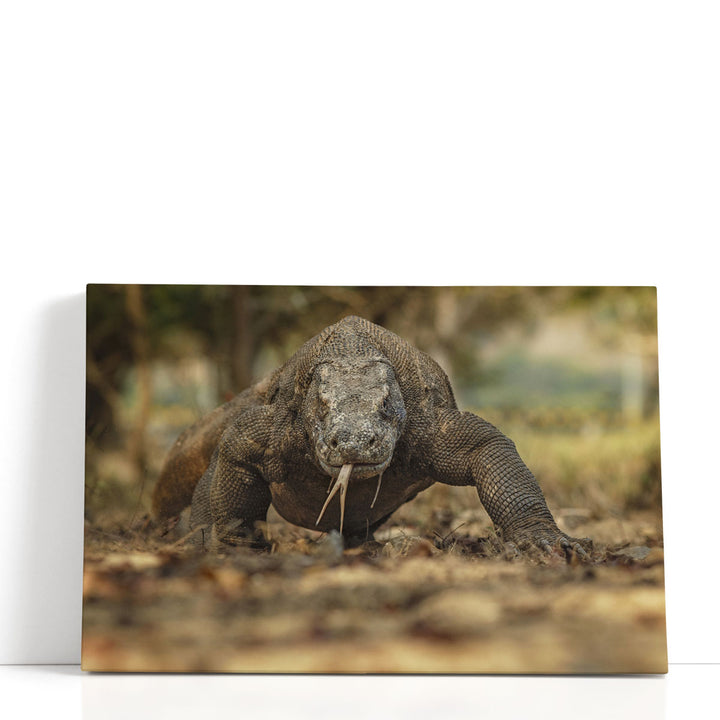 Komodo Dragon in the Beautiful Nature Habitat - Canvas Print Wall Art