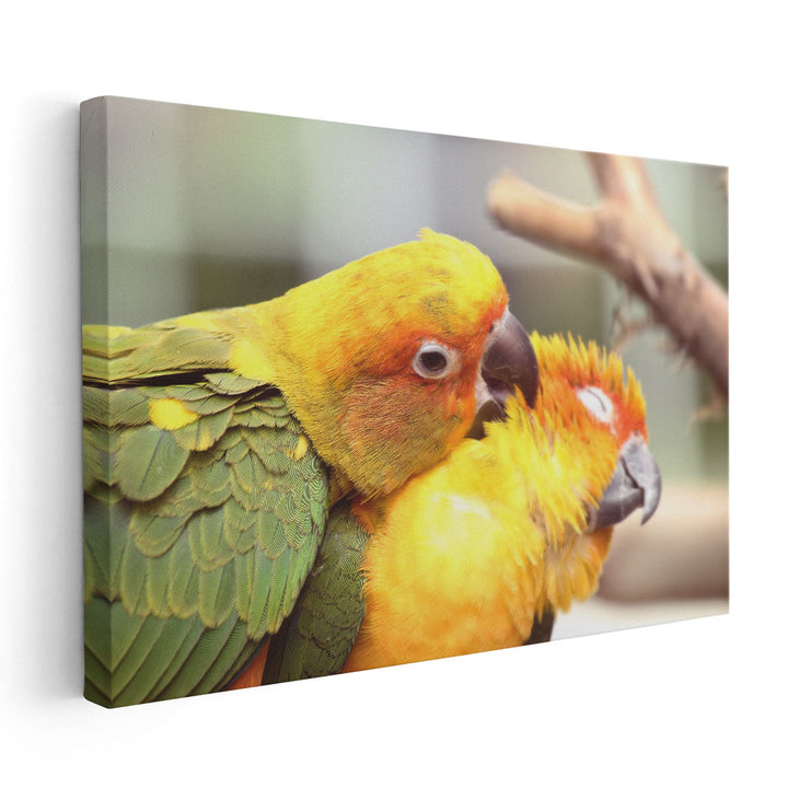 Lovely Parrots Couple - Canvas Print Wall Art