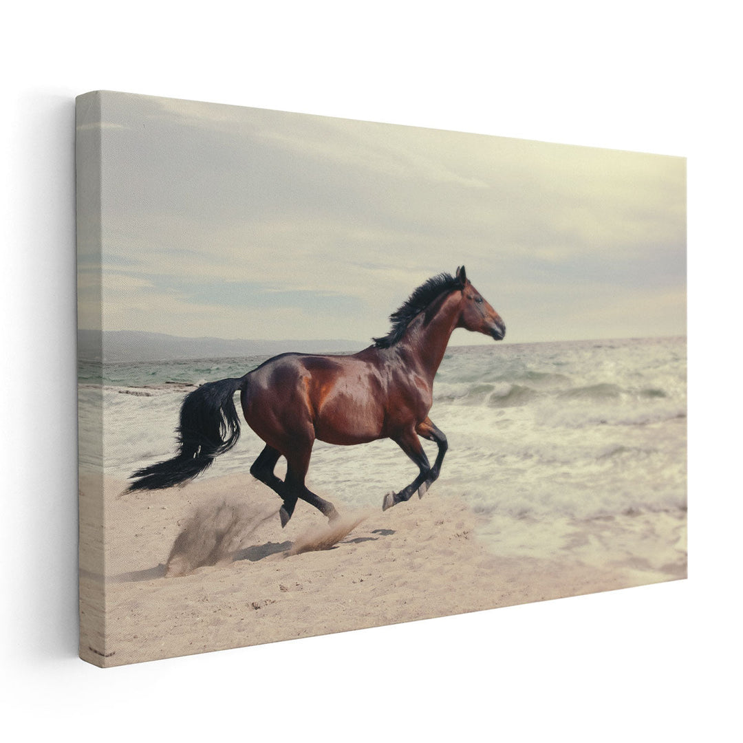 Marine Landscape With Beautiful Bay Horse - Canvas Print Wall Art