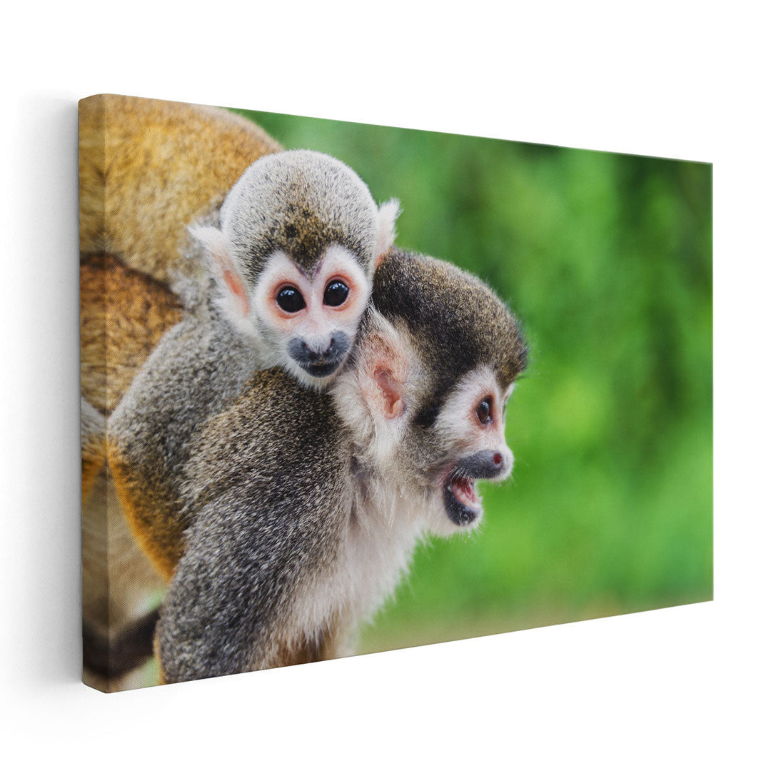 Mother Squirrel Monkey With her Child - Canvas Print Wall Art