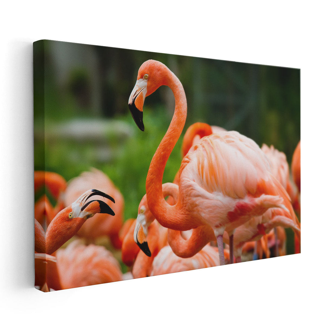 Pink Flamingos Against Green Background - Canvas Print Wall Art