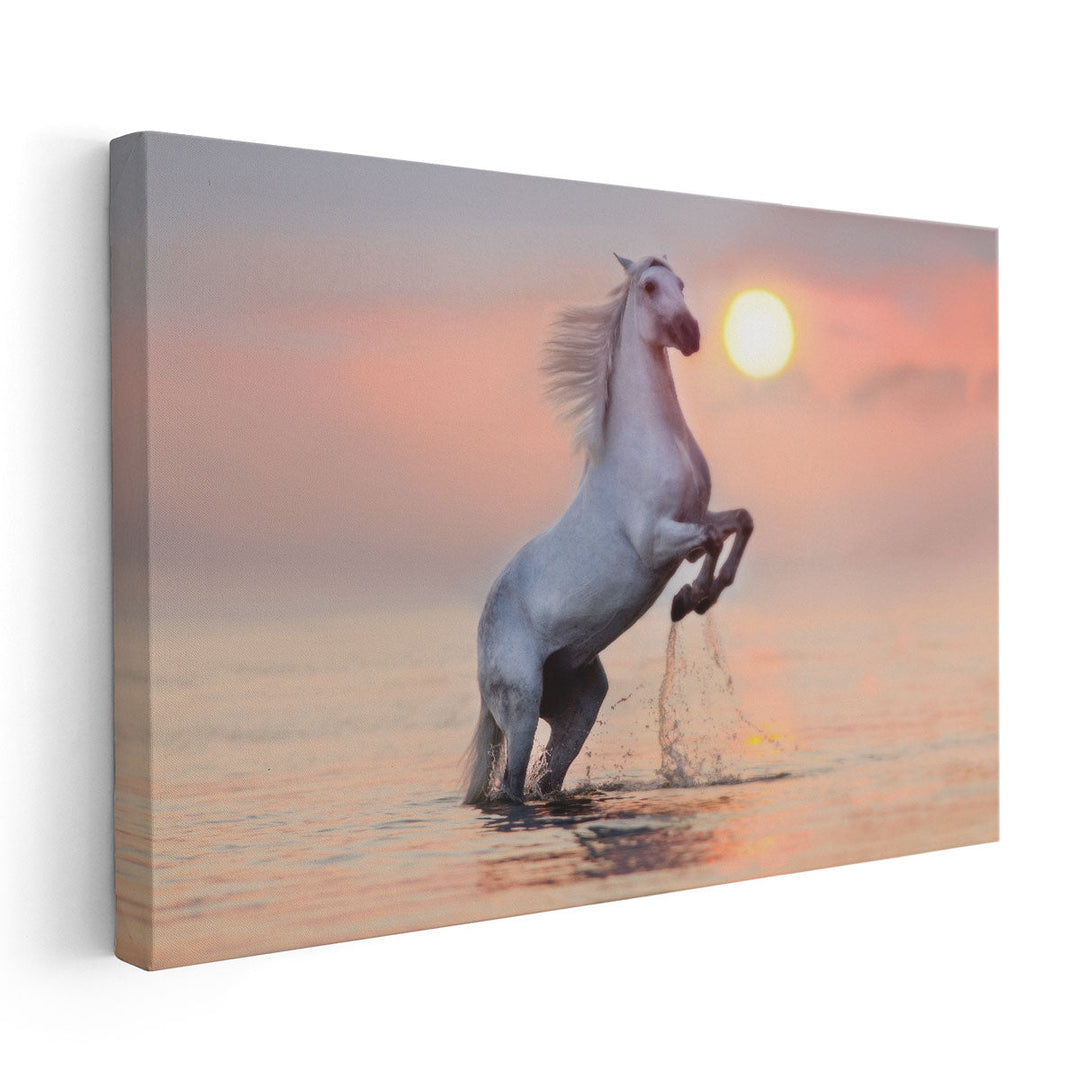 White Stallion Rearing Up with Splash in Water at Sunrise - Canvas Print Wall Art