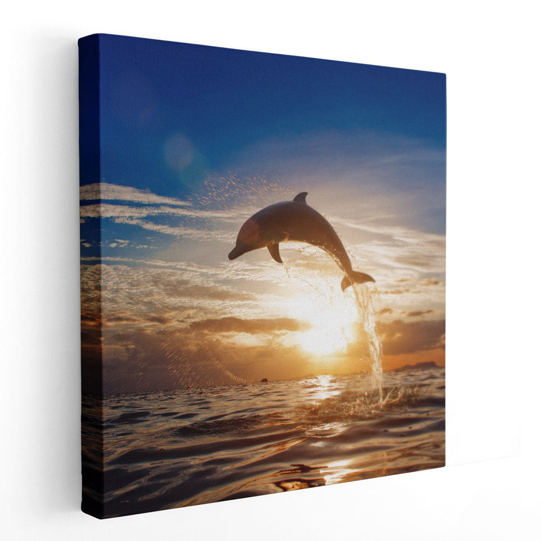 A Dolphin Leaping From Sea Water During Shining Sunset - Canvas Print Wall Art