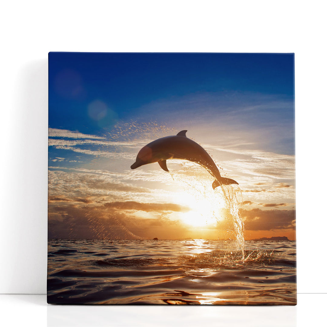 A Dolphin Leaping From Sea Water During Shining Sunset - Canvas Print Wall Art