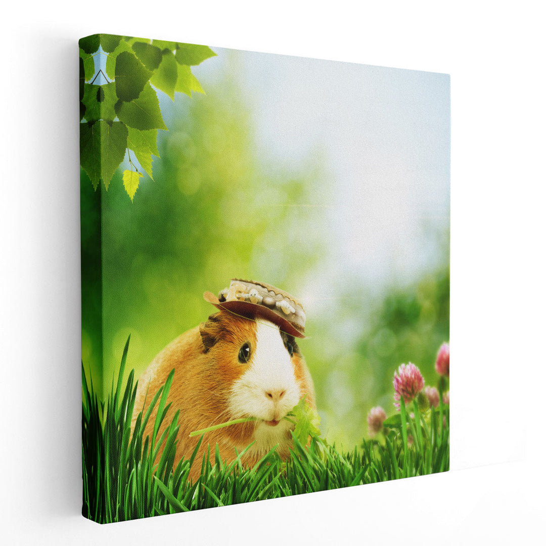 Funny Guinea Pig in Nature - Canvas Print Wall Art