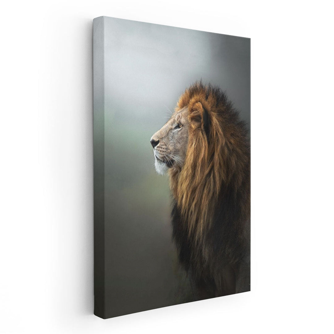 Magnificent Lion With A Large Lush Head of Hair - Canvas Print Wall Art