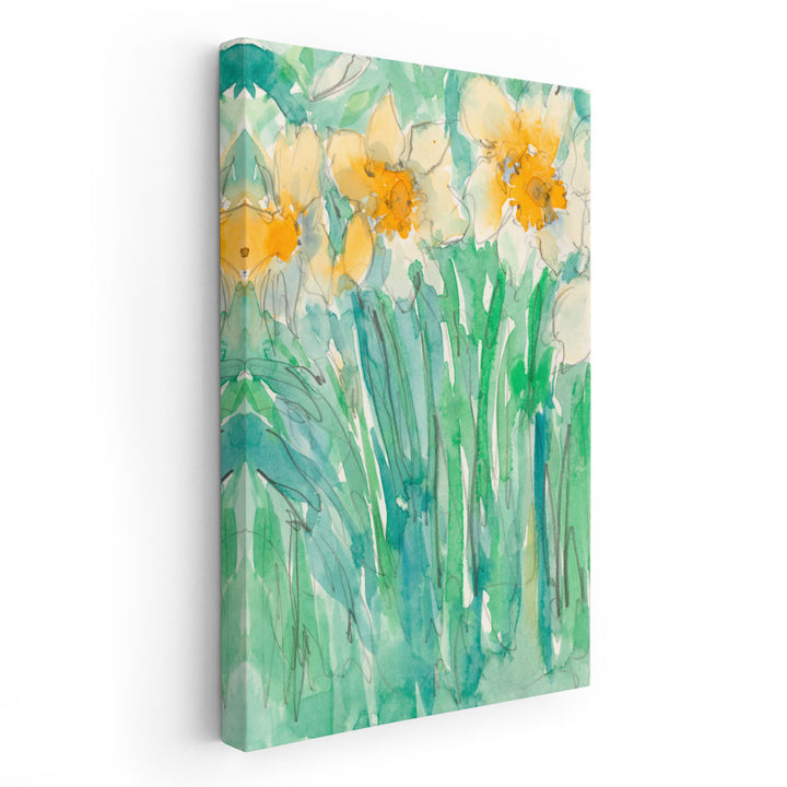 Daffodils Stems I - Canvas Print Wall Art