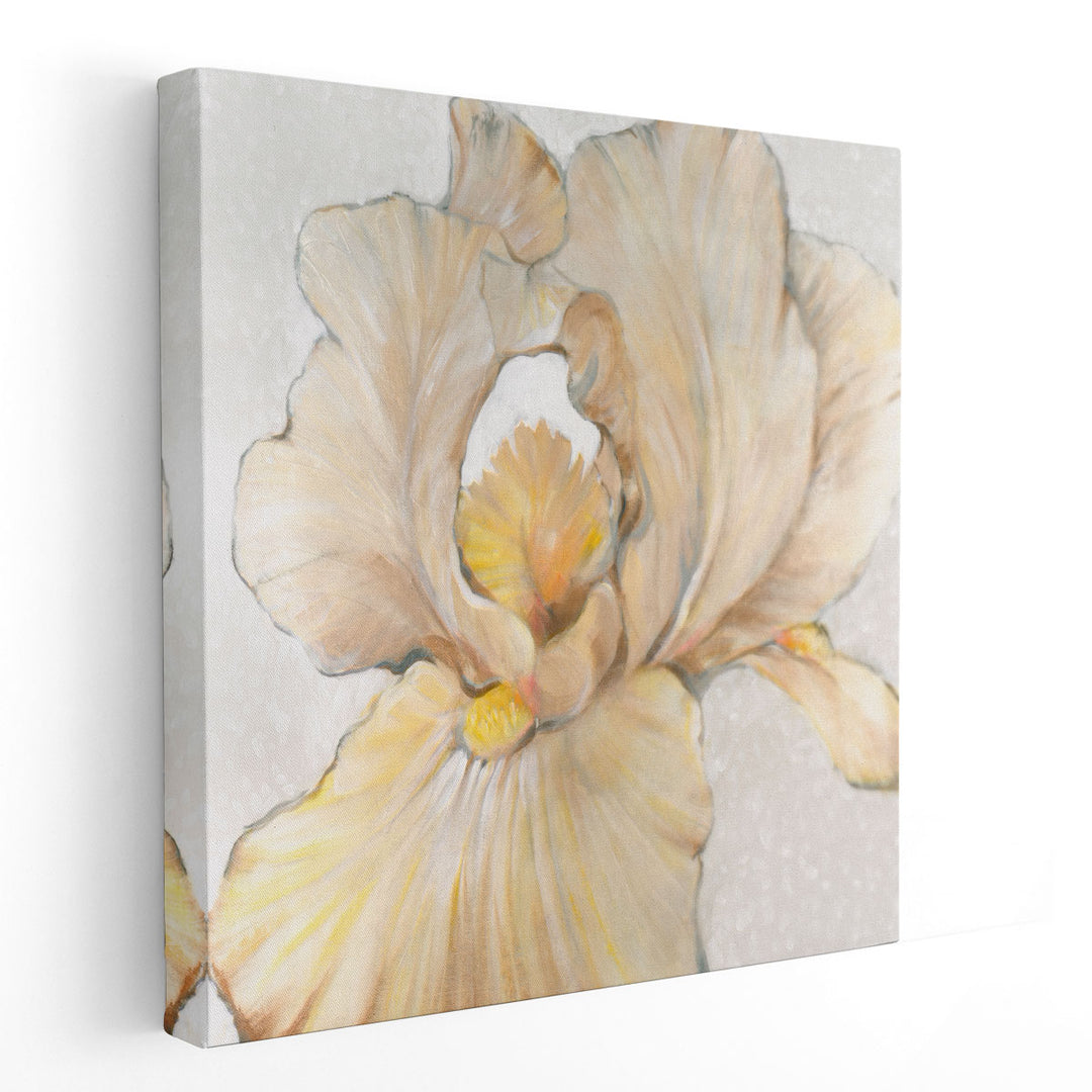 Iris Cream I - Canvas Print Wall Art