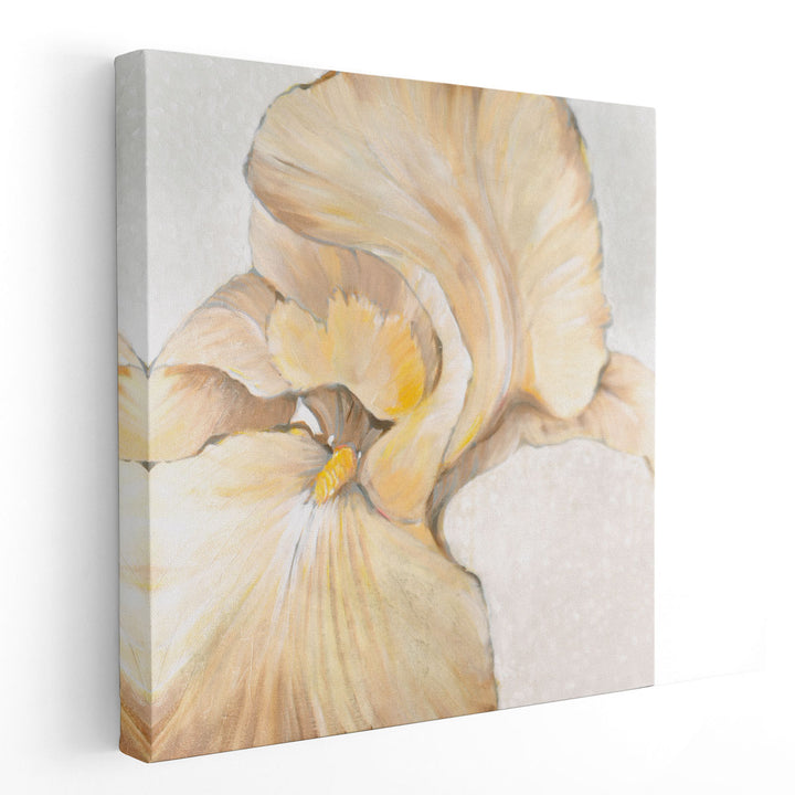 Iris Cream II - Canvas Print Wall Art