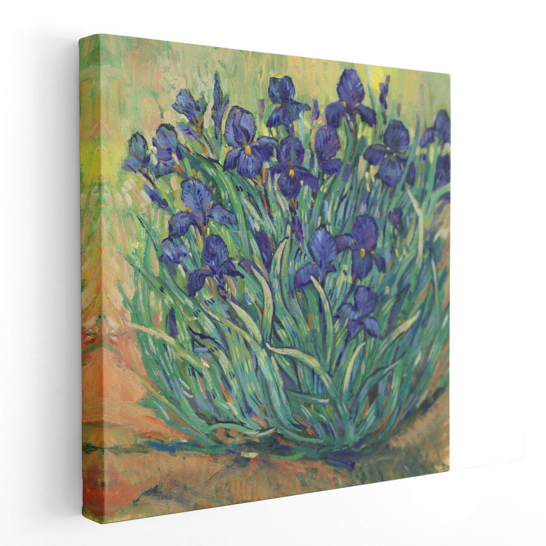 Irises in Bloom I - Canvas Print Wall Art