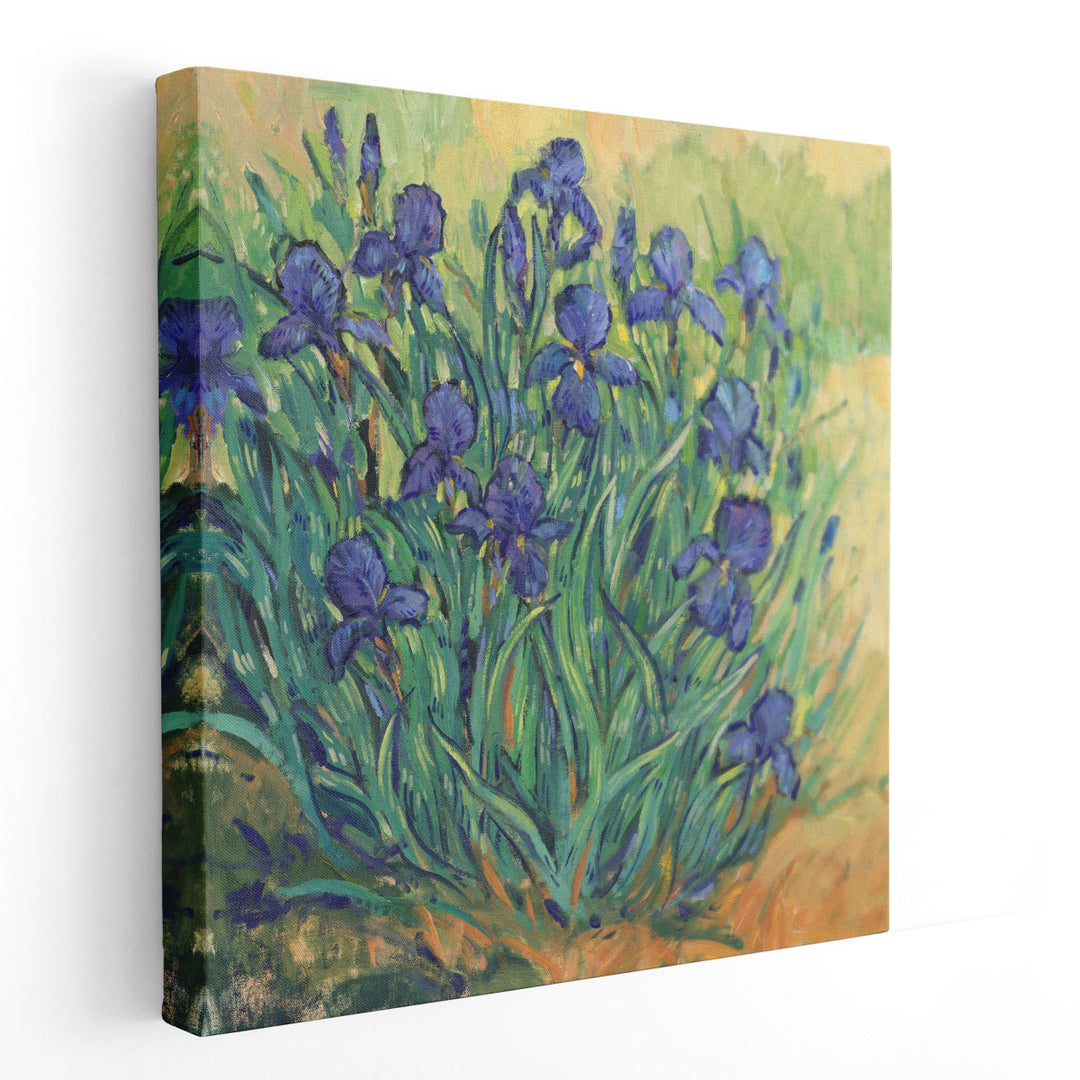 Irises in Bloom II - Canvas Print Wall Art