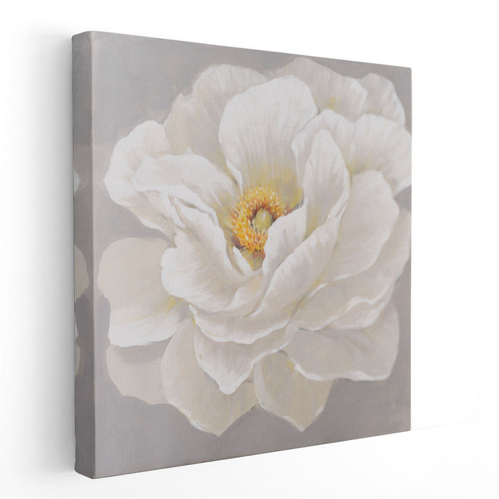 White Peony I - Canvas Print Wall Art