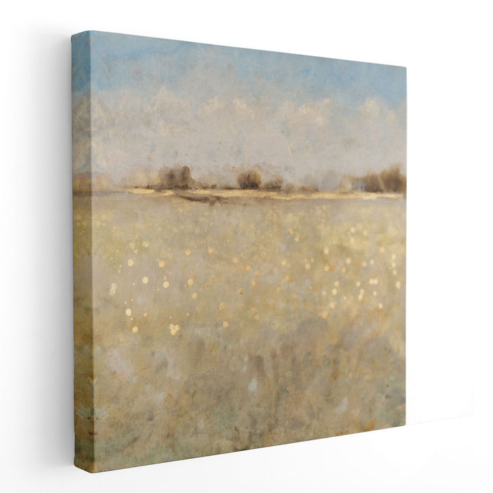 Meadow Plane I - Canvas Print Wall Art