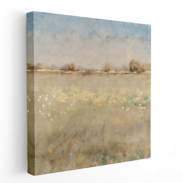 Meadow Plane II - Canvas Print Wall Art