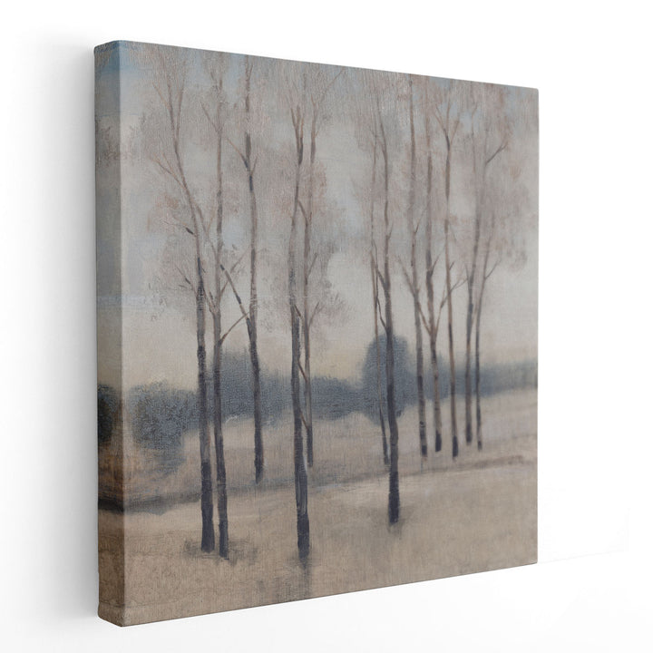 Soft Light I - Canvas Print Wall Art