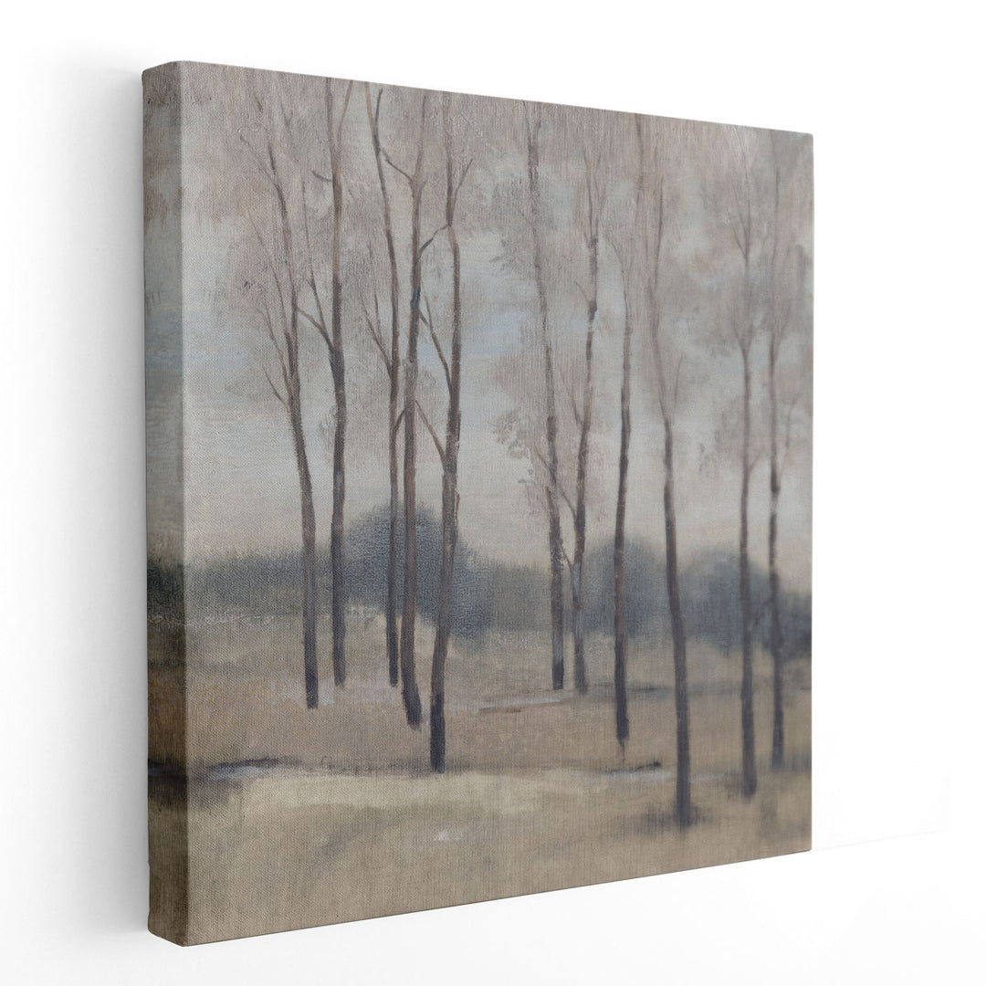 Soft Light II - Canvas Print Wall Art