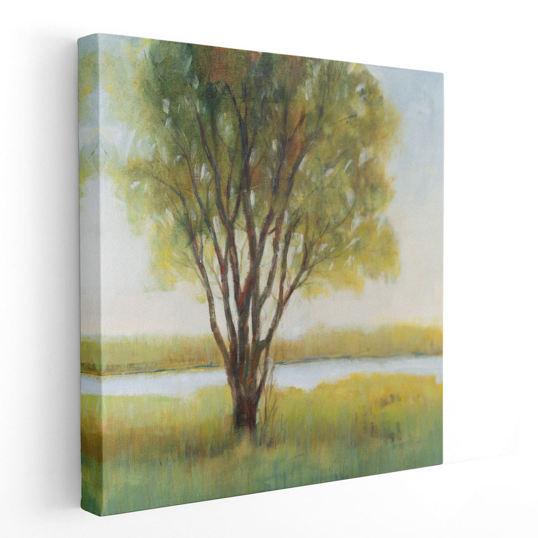 Shade Tree I - Canvas Print Wall Art