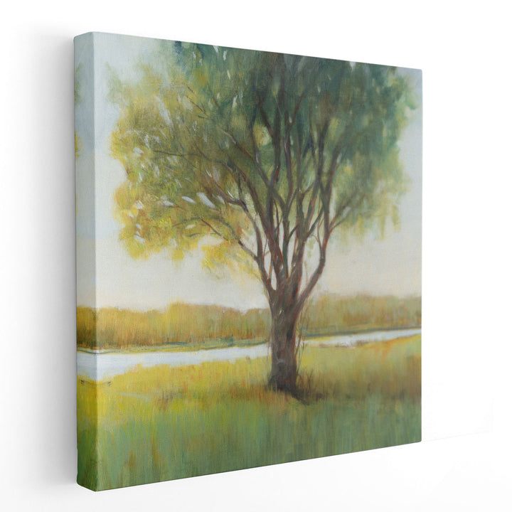 Shade Tree II - Canvas Print Wall Art